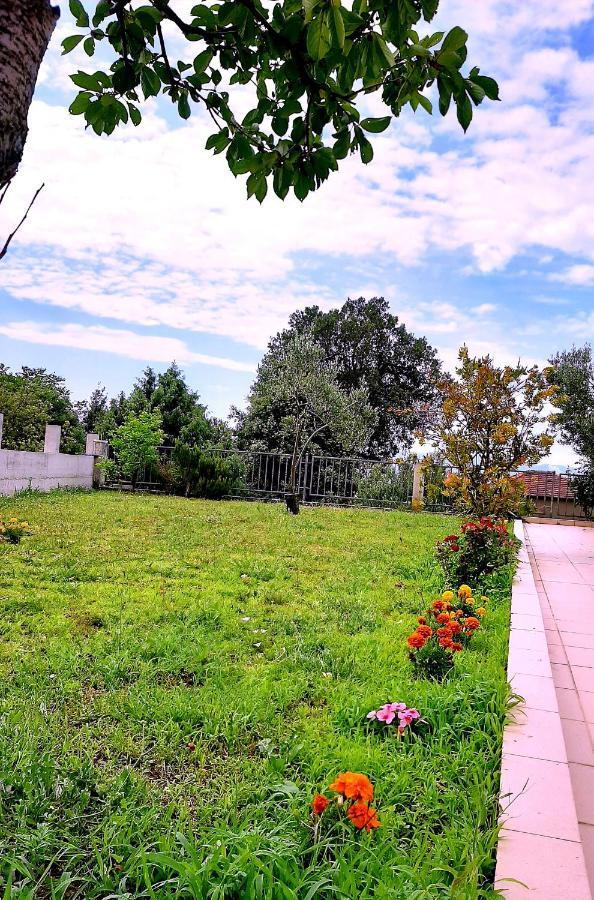 Villa Markic Drvenik  Exterior photo